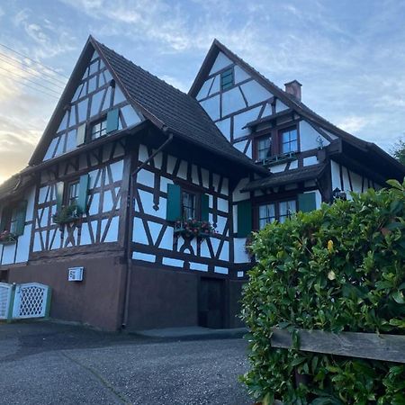 Basler Ferienwohnung Offenburg Exteriér fotografie